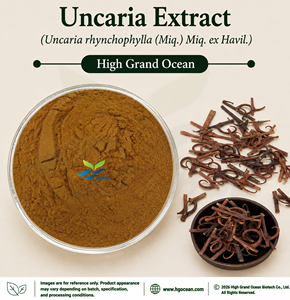 Suministro Directo de Fábrica HGO, Extracto de Uncaria (Uncaria rhynchophylla (Miq.) Miq. ex Havil.) Grado Alimenticio 4:1 5:1 10:1 20:1 100:1 200:1 - Product Image 1