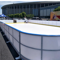 Paneles de Pista de Hielo Sintético WLT Duraderos para Adultos, Piso de Patinaje sin Motor para Sitios de Recreación Comunitaria y Municipal