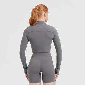 Women's Gray Long Sleeve Crop <b>Top</b> Half-Zip Solid Color Breathable Fitness Shirt Regular Fit Full Sleeve All Seasons - Product Image 2