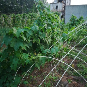 เสาไฟเบอร์กลาสสำหรับค้ำต้นไม้ เสาค้ำต้นไม้ FRP - Product Image 2