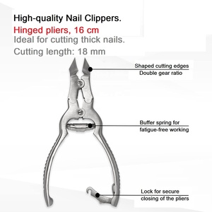 Coupe-ongles en acier inoxydable de 16 cm avec logo personnalisé pour ongles épais, mâchoires coniques cantilever – Regal Impex - Product Image 4