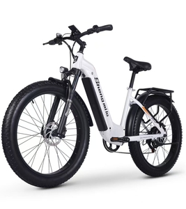 Customized <b>Electric</b> Sports Mountain Bike 26*3 Tires 48V 17.5AH Lithium Battery Aluminum Alloy Frame Hydraulic Disc Brakes - Product Image 3