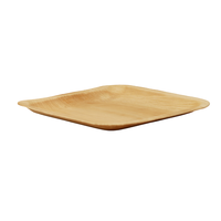 Ensemble de 4 assiettes carrées écologiques jetables en feuille d'arec, vaisselle carrée biodégradable en feuille de palmier, plateaux de traiteur, vente en gros