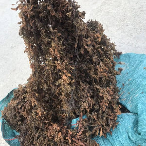 ถุงเก็บอาหารปลาจากเวียดนามแห้งสาหร่ายสาหร่ายโนริที่มาจากเวียดนาม - Product Image 1