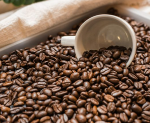 Café Robusta Orgánico Tostado y Molido Directo de Fábrica con Certificación USDA, solo 0.1% de Granos Negros y Partidos, Exportación al por Mayor - Product Image 2