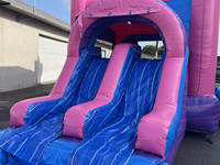 Château gonflable aquatique commercial pour filles, en PVC, pour locations événementielles, garantie 3 ans