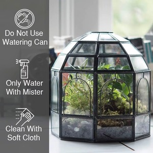 Terrario de Vidrio de Lujo para Centro de Mesa de Sala de Estar y Decoración Interior Premium con un Atractivo Decorativo Elegante - Product Image 6