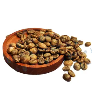 Số lượng lớn sumatera hạt cà phê chất lượng tốt Robusta màu xanh lá cây hạt cà phê từ Indonesia sản phẩm xuất khẩu