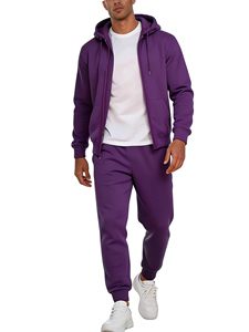 Ensemble sweat-shirt et pantalon de jogging pour homme, hiver, uni, à capuche, zippé, tricoté, imperméable, 100% polyester, coupe classique, décontracté, avec poches - Product Image 1