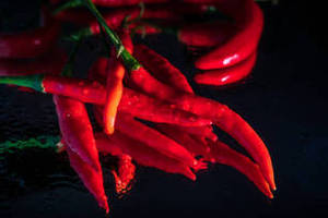 Exportación a Granel de Chile Rojo Entero de Gujarat, India, de FitTree International, para Programas Comerciales de Adquisición de Ingredientes - Product Image 6