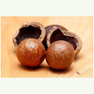 Nueces de Macadamia Crudas del Reino Unido en Bolsas, las Más Vendidas, Crudas y Tostadas para Consumo Humano, Núcleo de Nuez de Macadamia - Product Image 2
