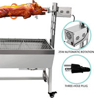 Barbecue rotatif, rôtissoire, machine à griller, rôtissoire à broche pour fête en plein air