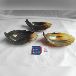 Plateau de service carré fait main en corne de buffle naturelle, plat de service haut de gamme pour salades, collations, fruits, dîner, vaisselle attrayante - Product Image 2