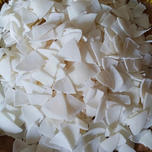 Carne de Coco Congelada IQF de Vietnam de Alta Calidad para Procesamiento de Alimentos y Producción Industrial de Jugos de 99 Gold Data - Product Image 1