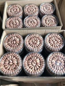 Premium Vietnamese Cashew Nuts Salted Roasted High Quality Ready to Export Bulk Wholesale Supplier Best Price - Product Image 2