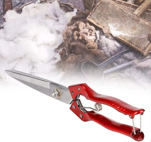 Gran Oferta: Esquiladora Manual de Doble Arco de Acero Inoxidable de 30 cm de Alta Calidad para Ovejas, Aceptamos OEM - Product Image 6