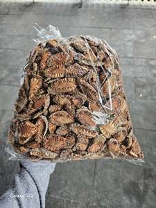 Tranches de fleurs de palmier Toddy de haute qualité, séchées, sans moisissure, 500g 10kg - Product Image 3