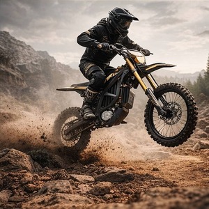 Moto tout-terrain électrique 2026 pour adultes 74V 60Ah Ultra Bee, vitesse 95 km/h, puissance maximale 21 kW - Product Image 4