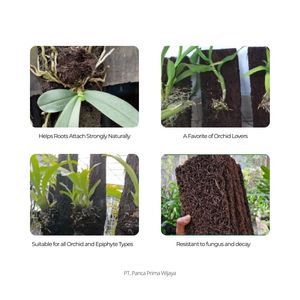 Placa de Placa de Araña Natural de Alta Calidad 15x8cm para Montaje de Orquídeas, Medio de Cultivo para Plantas Epífitas - Product Image 6