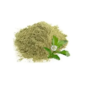 Polvo herbario de Bhringraj, Eclipta alba (sinónimo de Eclipta prostrata), Falsa margarita, Keshraj, Rey del Cabello - Product Image 5