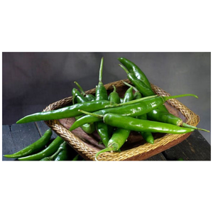 Natural Fresh Green Chili Premium Quality Rich Flavor and Aroma for Cooking Processing and Wholesale Export - Product Image 4