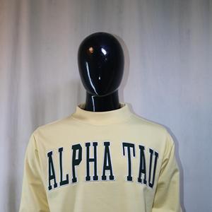 Sweat-shirts ALPHA TAU à col montant 450 GSM avec broderie personnalisée, coupe ample et carrée, en molleton 100% coton French Terry - Product Image 2