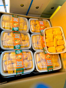 ขนุนแช่แข็ง IQF คุณภาพส่งออกจากเวียดนาม 100% ธรรมชาติ - Product Image 1