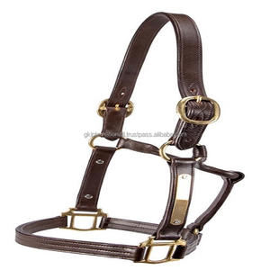 Double couche de licou en cuir marron cousu fantaisie avec plaque d'identification personnalisée sur la joue et boucles en laiton poli - Product Image 2