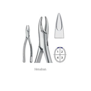 2025 American Pattern Premium Adult Tooth Extracting Forceps Wholesale 150S <b>Mirror</b> Finish Hot Selling Manual By Dentavex - Product Image 5