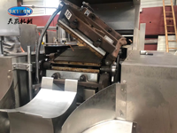 Solución Completa para Plantas de Producción de Wafers, Línea Automática para la Fabricación de Galletas Wafer con Horno de Gas, Solución de Corte y Empaquetado