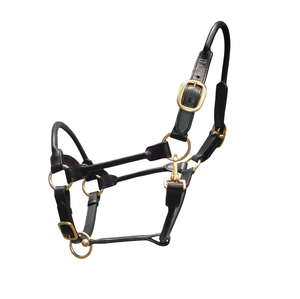 Licol de cheval en cuir rembourré personnalisé de qualité supérieure, en nylon, avec couronne réglable, coutures durables, boucles métalliques, accents de corde - Product Image 1