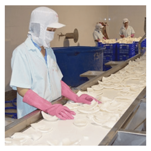 99 GOLD DATA Demi-noix de coco surgelées IQF sous vide de Ben Tre Vietnam pour boissons et desserts, durée de conservation de 24 mois - Product Image 6