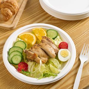 Assiettes carrées jetables 9 compartiments 100% biodégradables, compostables, écologiques, durables, de qualité alimentaire, personnalisables, en promotion 2026 - Product Image 5