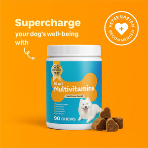 Suplemento Masticable Multivitamínico para Perros de Fabricante OEM con Glucosamina, Omega 3 y Vitaminas Esenciales, Suministro al por Mayor - Product Image 2