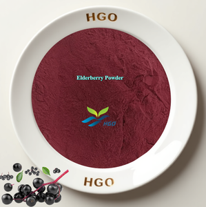 Hgo ผง Elderberry ธรรมชาติบริสุทธิ์ (เกรดอาหาร) ข้อกำหนดผงผลไม้ (ผลไม้หรือผงผัก) - Product Image 1