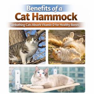 Factory Wholesale Modern Indoor Cat Window Seat Perch Foldable Suction Cup Hanging Bed Shelf <b>Box</b> Packaging Custom Logo OEM/ODM - Product Image 5