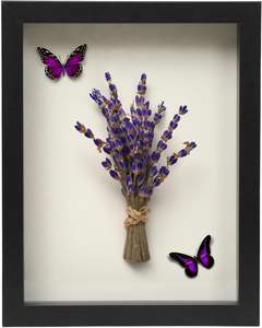 Marco de Fotos Moderno de Madera Negra para Colgar en la Pared o Apoyar sobre la Mesa, con Cubierta de Vidrio, para Decoración del Hogar, Exhibición de Arte, Flores y Sombras - Product Image 3