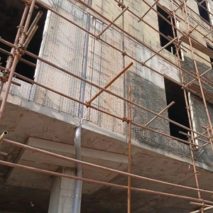 Revisores de Resiliencia Estructural, Análisis Experto para una Resistencia Duradera - Product Image 1