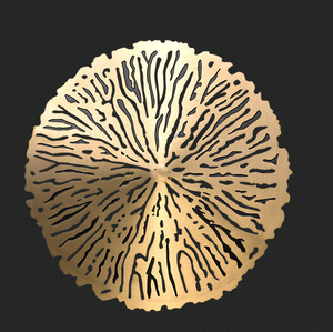 Décoration murale artisanale en laiton et alliage d'étain, motif feuille de lotus en cuivre, forme coralline dorée ronde, à suspendre - Product Image 2