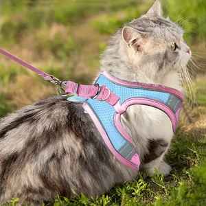 สายรัดสุนัขแบบยุทธวิธีคุณภาพสูง OEM แบบกำหนดเอง กันน้ำ - Product Image 2