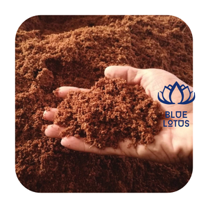 Bloque de Turba de Coco para Cultivo, Suministro a Granel, 5 kg - Product Image 1