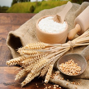 Harina de Arroz y Trigo de Alta Calidad, Grado Alimenticio, Bolsa de 25 kg, Marca Vietnam Vdelta, para Uso en Panadería - Product Image 1
