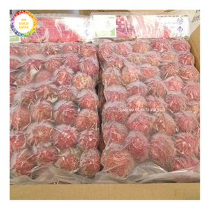 Ramboutan entier congelé avec peau, provenant du Vietnam, fruit tropical naturel pour l'exportation en gros, destiné aux services de restauration et aux cuisines commerciales. - Product Image 2