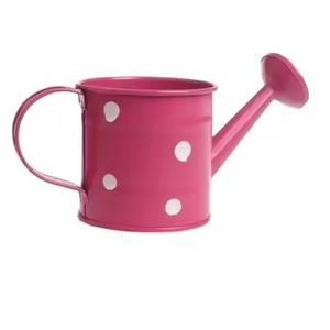 Arrosoir en métal de grande taille, pot à eau en acier inoxydable pour une utilisation en intérieur et en extérieur dans le jardinage - Product Image 3