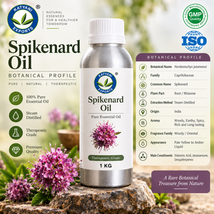 Venta al por mayor OBM: Aceite esencial de Spikenard de 5 KG, aroma terroso amaderado, aceite de raíz de Nardostachys Jatamansi para fabricación de fragancias - Product Image 2