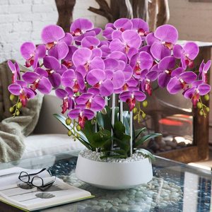 THAF-007 Fleur d'orchidée artificielle, 9 pétales larges, orchidées artificielles réalistes en latex, tiges de phalaenopsis, fleur pour mariage, décoration de la maison - Product Image 3