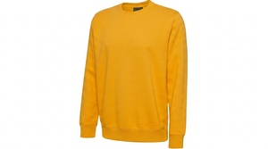 Sudadera Unisex Amarilla de Cuello Redondo, Manga Larga, Color Sólido, Corte Regular, para Todas las Temporadas, 100% Algodón, Estilo Casual - Product Image 1