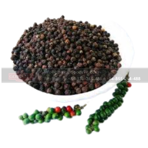 Pimienta Negra vietnamita con pimienta seca orgánica 100%, para la exportación, OEM - Product Image 2