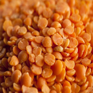 Lentilles vertes fraîches en vrac, qualité supérieure, directement de la source, pour les marchés mondiaux - Product Image 6