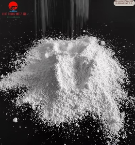 Poudre de carbonate de calcium acrylique ultrafine NHAT THANG VNT7 JSC VNT-1400C pour masterbatch de remplissage, peinture PVC et meubles - Product Image 5